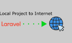 Featured image of post How to Easily Share Local Laravel Projects to the Public Internet