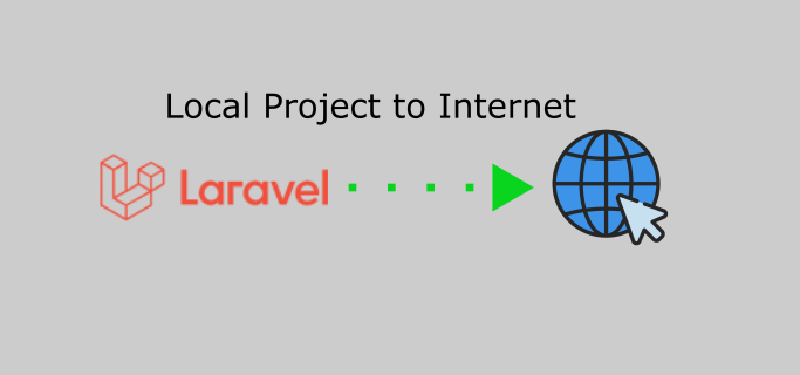 Featured image of post How to Easily Share Local Laravel Projects to the Public Internet