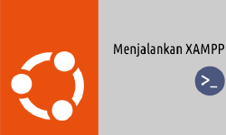 Featured image of post Cara Menjalankan Xampp Lewat Terminal Ubuntu